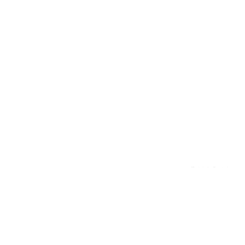 Fiesta Americana Grand