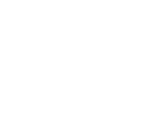 Logo leones yucatan blanco