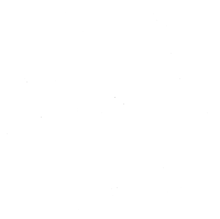 MX lgoo escudo circulo WHITE