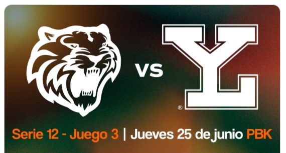 Serie 12 — Juego 3: Tigres vs Leones